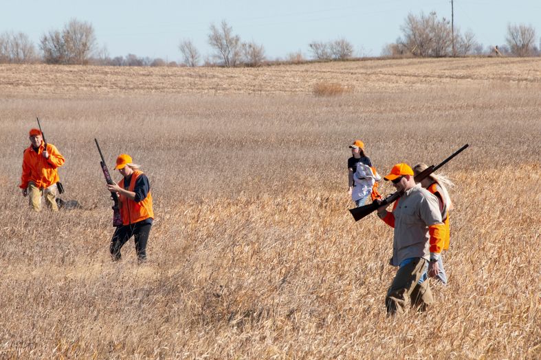 A group of people dressed in orange hunting gear walk through a grassy field, carrying rifles. The landscape is flat with dry grass and a few distant trees under a clear blue sky.