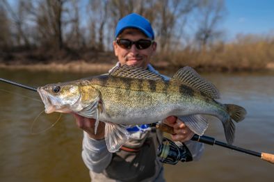 A person wearing sunglasses and a blue cap holds up a large fish by the river. The fish has distinct stripes and fins. Trees are visible in the background under a clear blue sky.