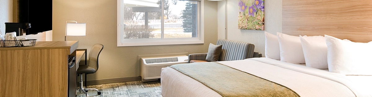 Hotel room with a king-sized bed, white and green bedding, a wooden headboard, and a matching wooden TV cabinet. A window with blinds, a desk with a chair, and a patterned carpet complete the modern, cozy decor.